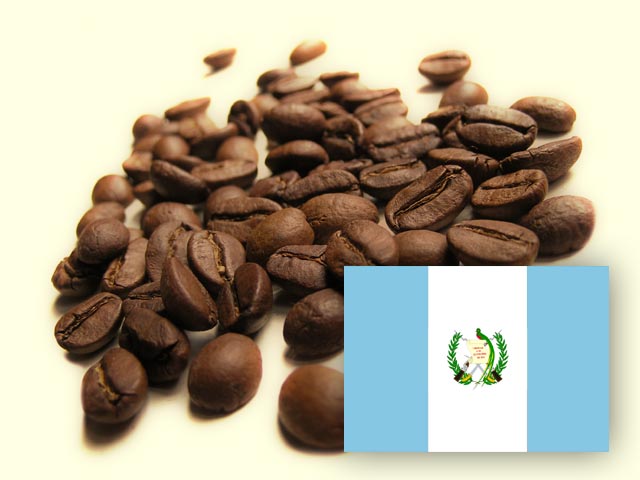 Ziarna kawy Gwatemala Antigua, Pożegnianie z Afryką